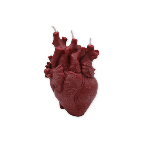 Vela moldeada con corazón anatómico de Susan Schomig Creations