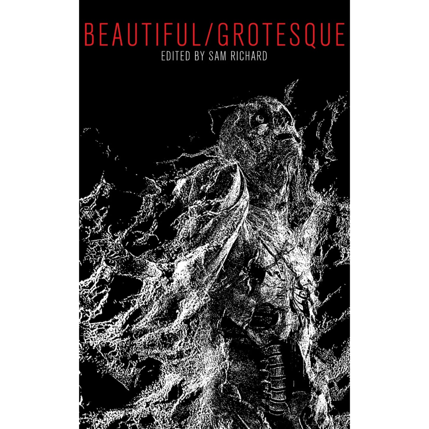 Beautiful/Grosteque Novel Edited by Sam Richard