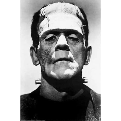 Frankenstein Movie Poster 24x36