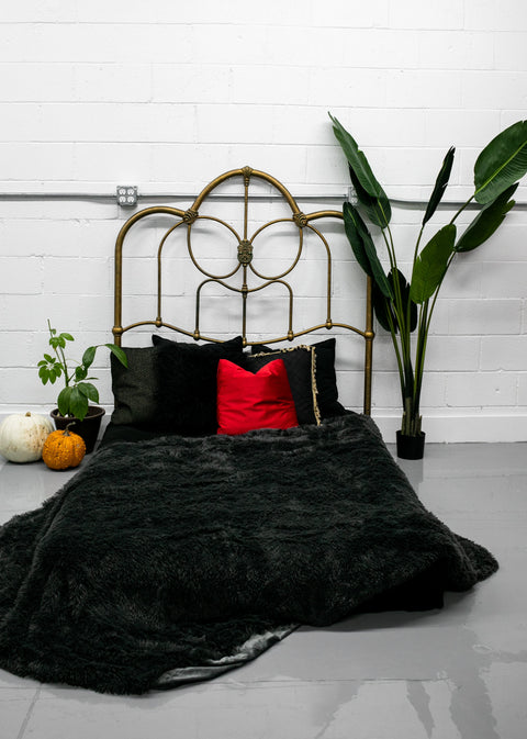 EBP Photography Shoot A-la Carte