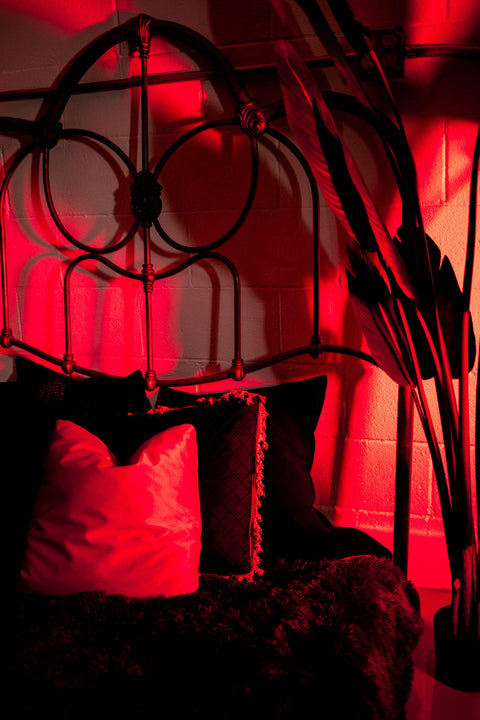 8 Hours - Full Day Photography Studio Booking