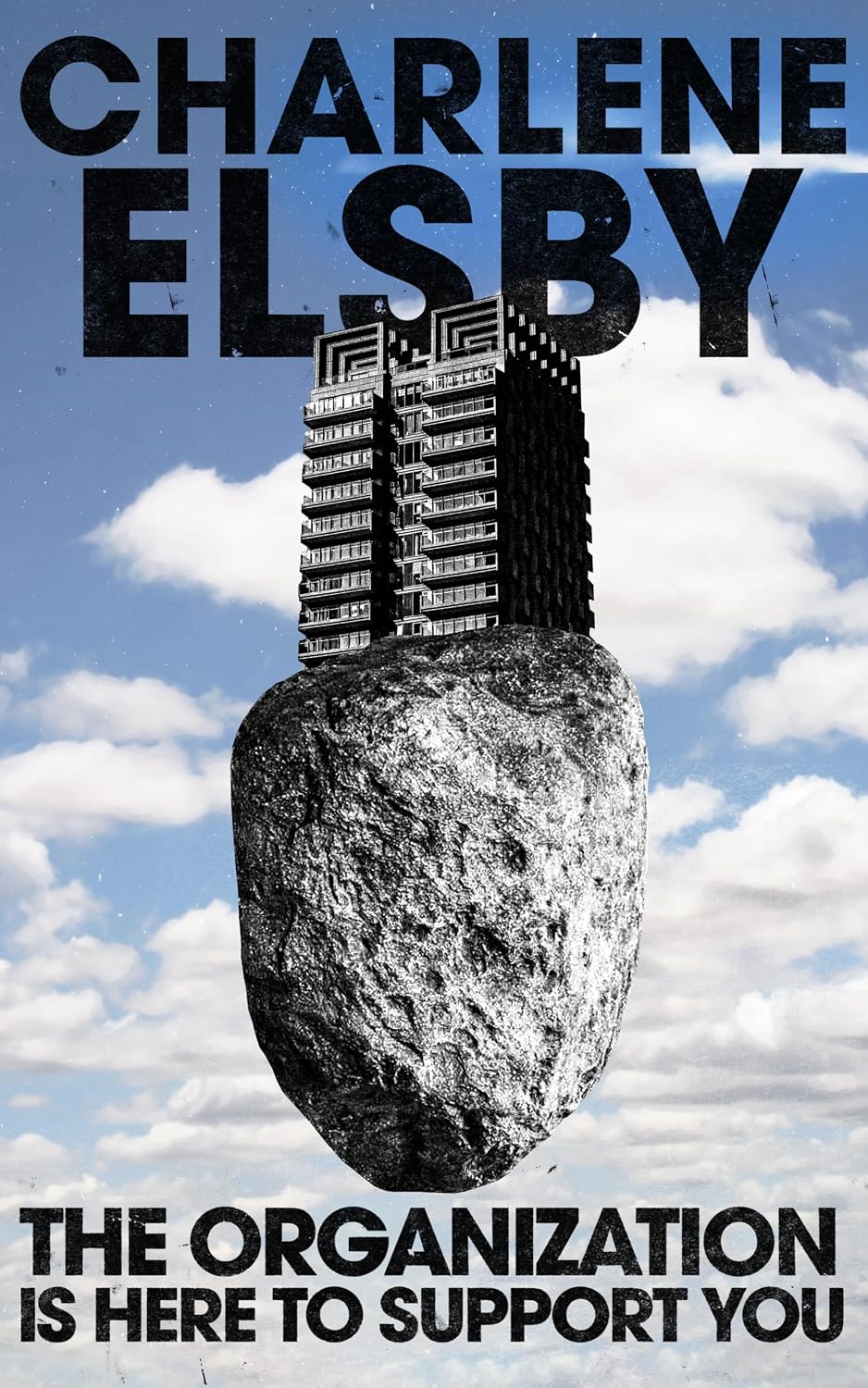 The Organization is Here to Support You Novel by Charlene Elsby