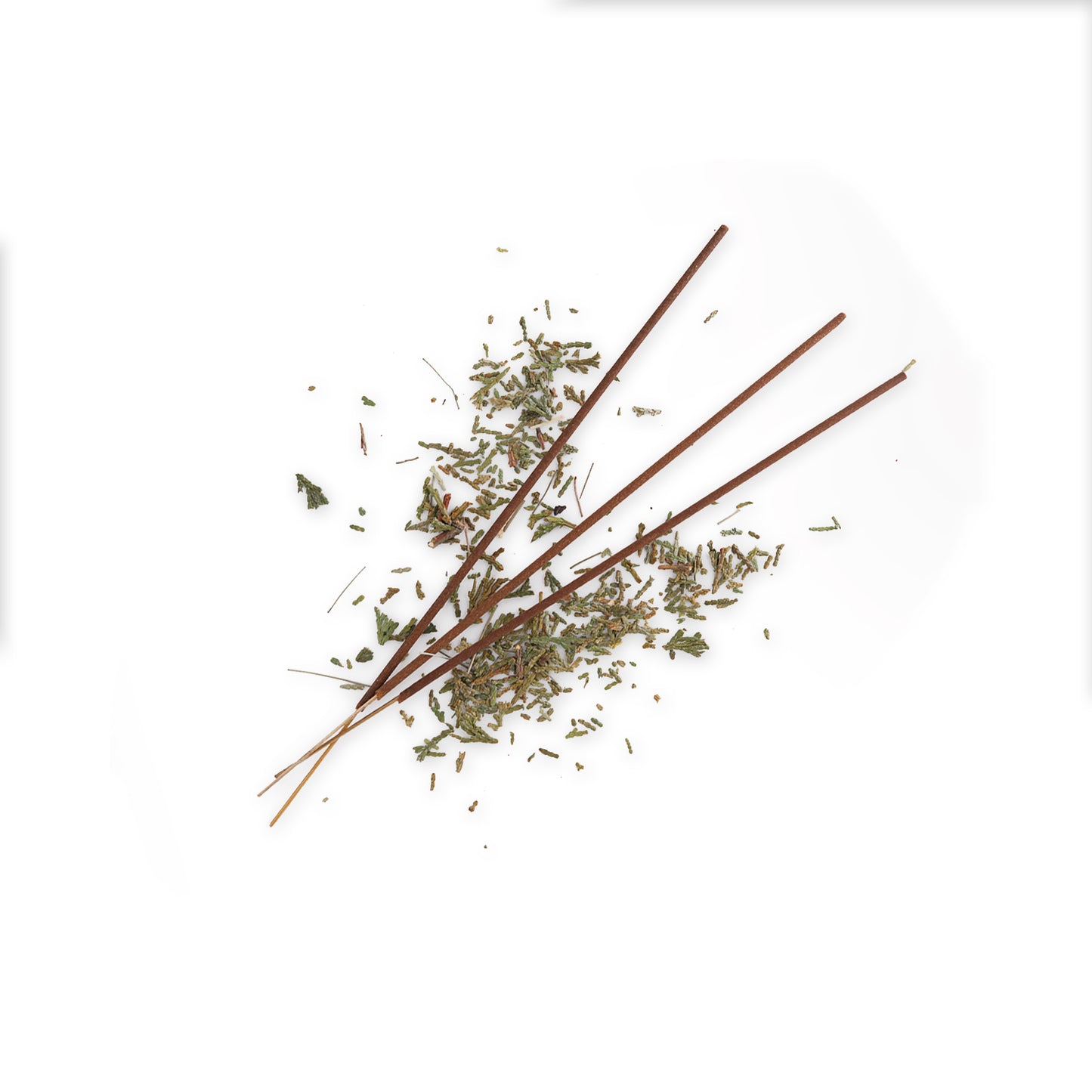 HORRID Apothecary Protection Spell Incense Stick