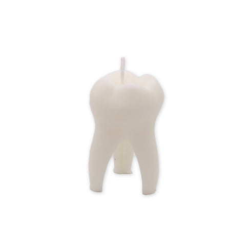 Susan Schomigs Creations Tooth Molded Candle