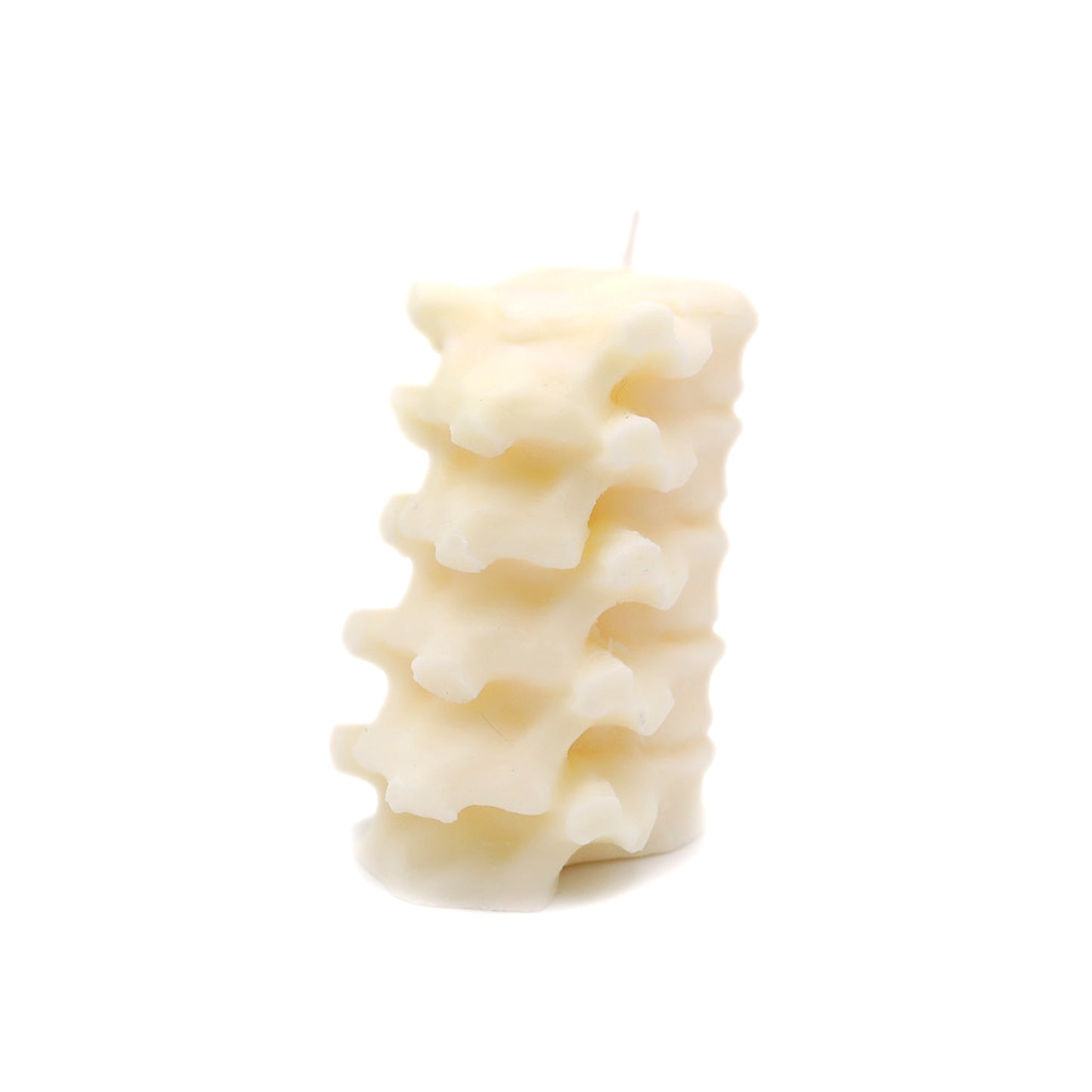 Susan Schomigs Creations Human Spine White Molded Candle