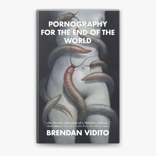 Pornography for the End of the World Novel by Brendan Vidito