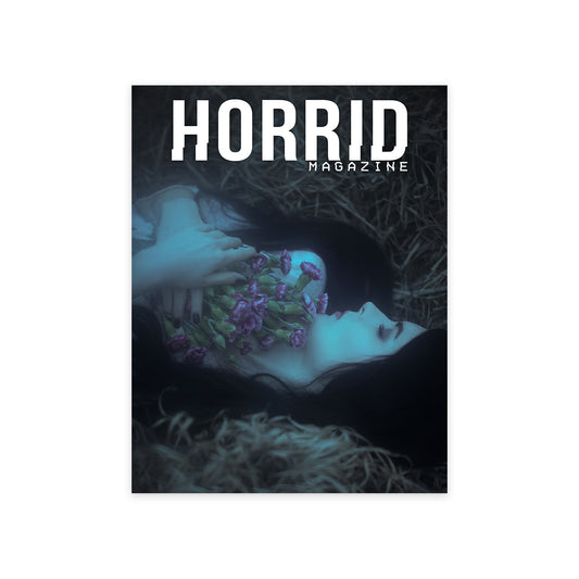 Horrid Magazine Volumen 3 Número 3: Fantasma de Invierno (Descarga digital)