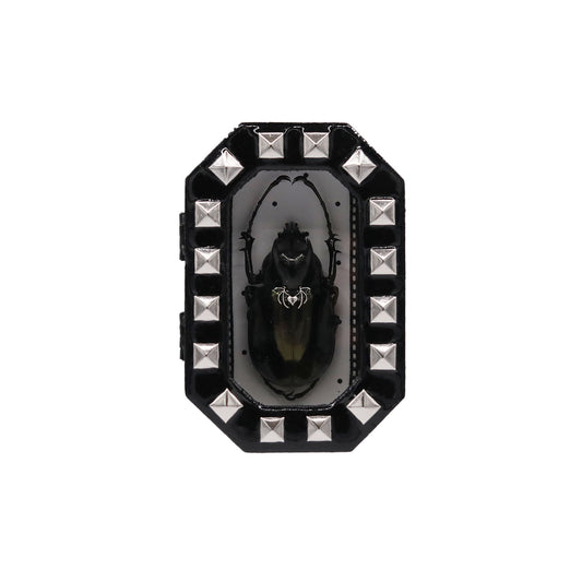 Foster Casel Art All Black Beetle Coffin Bug