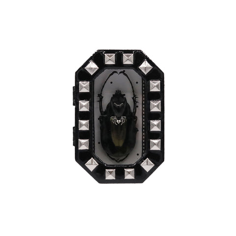 Foster Casel Art All Black Beetle Coffin Bug