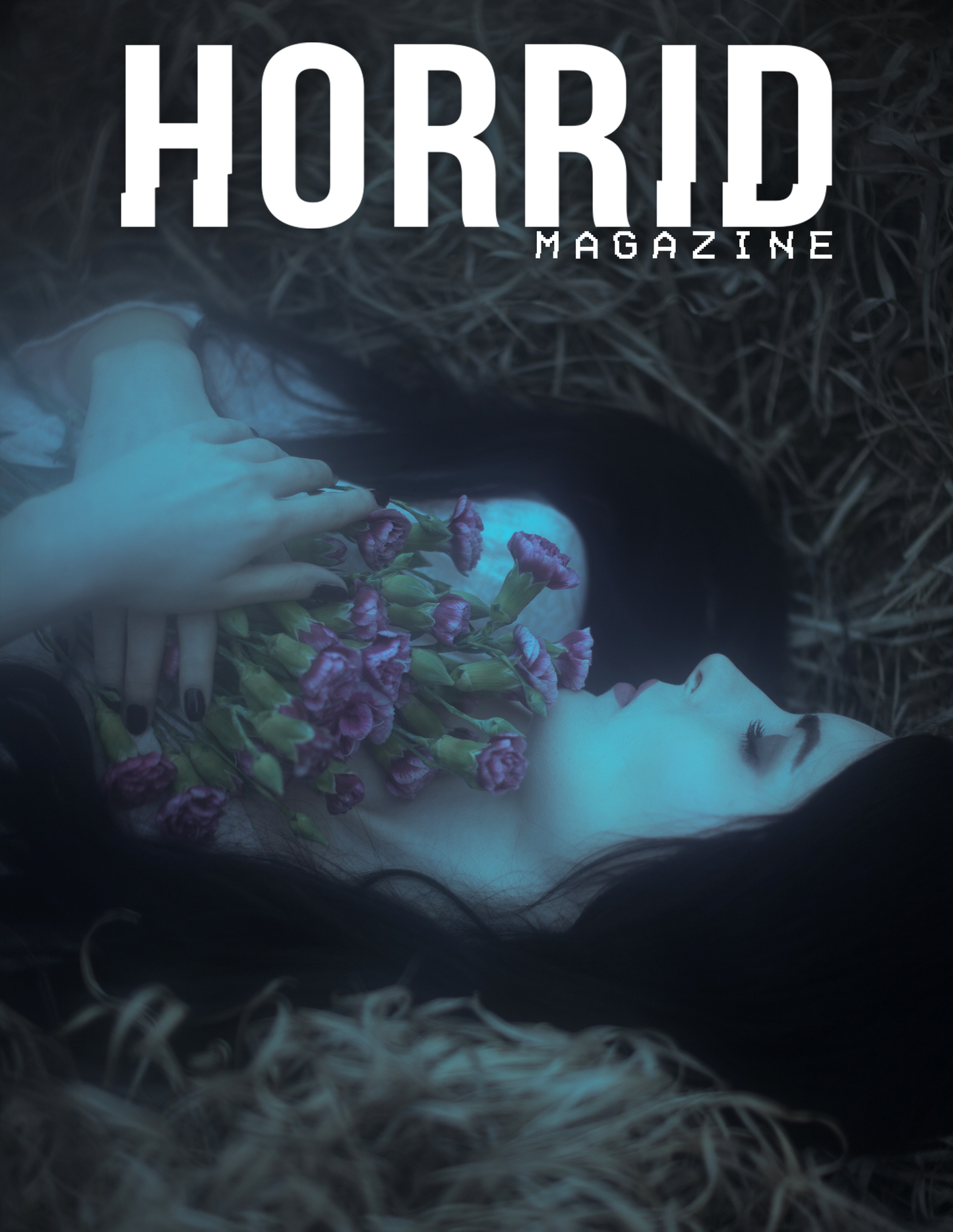 Horrid Magazine Volume 3 Issue 3: Ghost Of Winter (Digital Download)